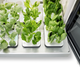 Imagen para el artículo titulado El LG Tiium es un vivero autónomo del tamaño de un lavaplatos que permite cultivar verduras en tu propia casa